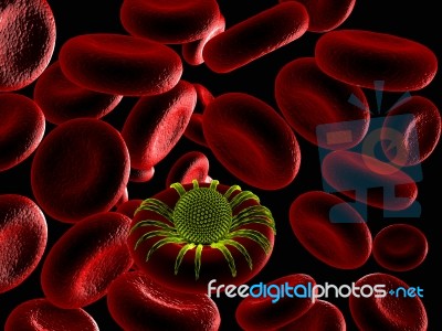 Red Blood Cell And Virus Stock Image