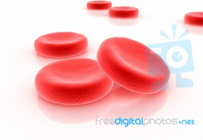 Red Blood Cells Stock Image