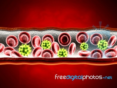  Red Blood Cells With Wain Stock Image