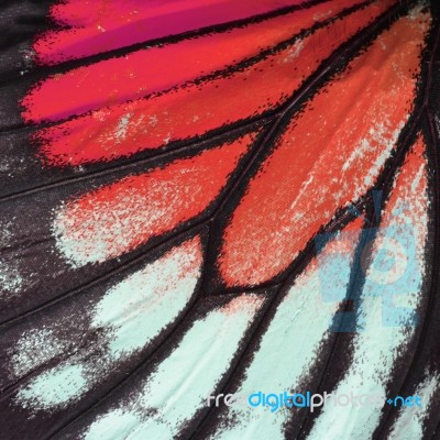 Red Butterfly Wing Stock Photo