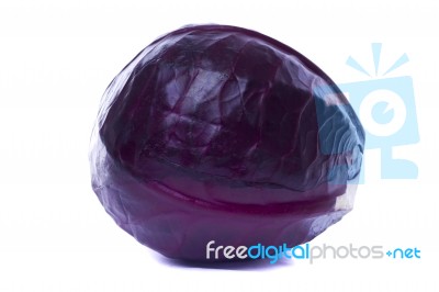 Red Cabbage Stock Photo