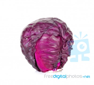 Red Cabbage Isolated On The White Stock Photo