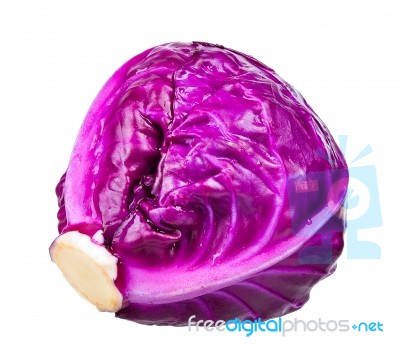 Red Cabbage Isolated On The White Background Stock Photo