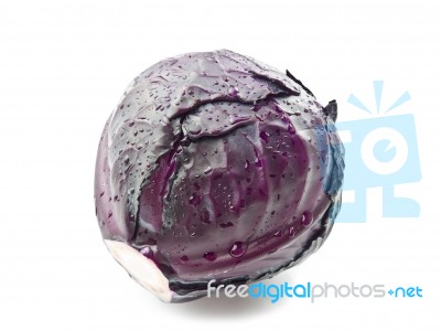 Red Cabbage With Condensation Stock Photo