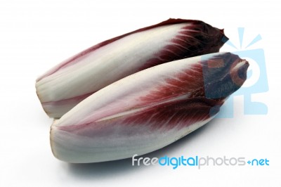 Red Chicory Stock Photo