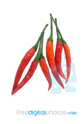 Red Chili On White Background Stock Photo