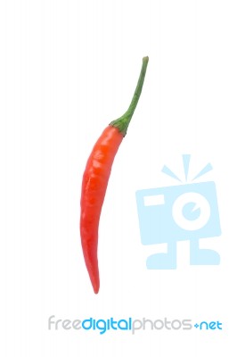 Red Chili On White Background Stock Photo