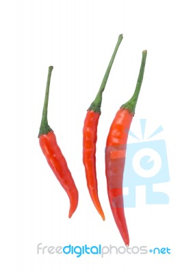 Red Chili On White Background Stock Photo