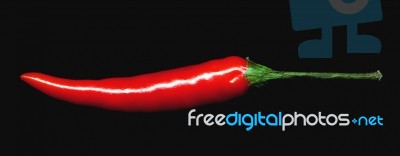 Red Chili Pepper Stock Photo