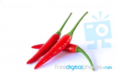 Red Chili Pepper On A White Background Stock Photo