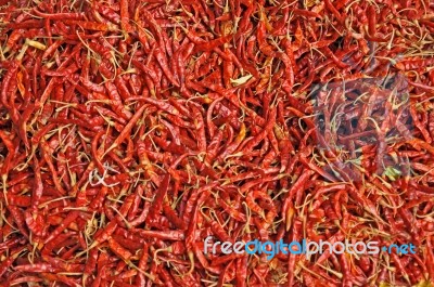 Red Chilli Peppers Stock Photo