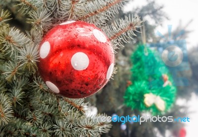 Red Christmas Ball On The Christmas Tree Stock Photo