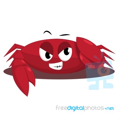 Red Crab Stock Image