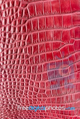 Red Crocodile Leather Texture  Background Stock Photo