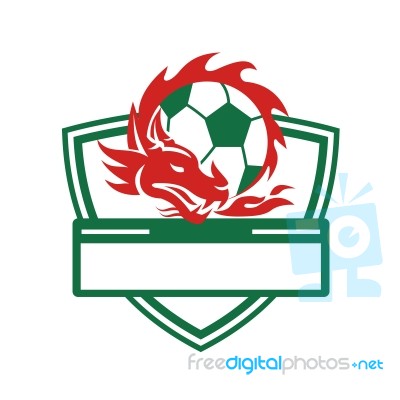 Red Dragon Soccer Ball Crest Stock Image