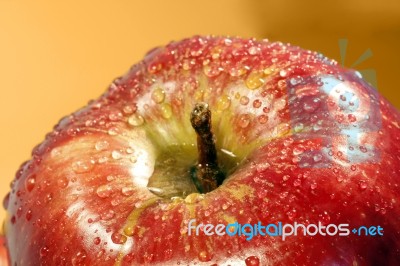 Red Drops Stock Photo