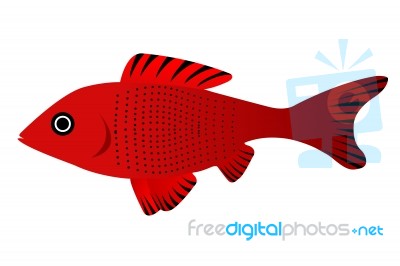 Red Fish Stock Image