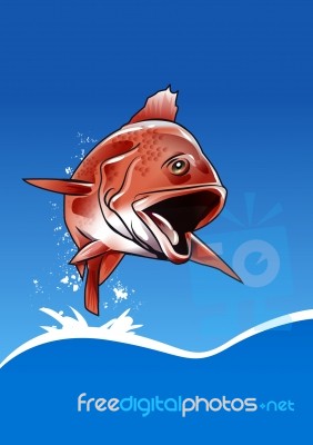 Red Fish Stock Image