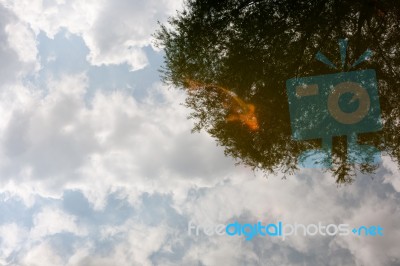 Red Fish In A Lake And Sky Reflection Stock Photo