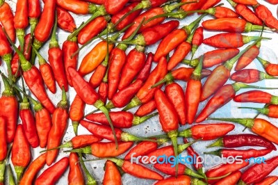 Red Fresh Chili Stock Photo