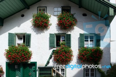 Red Geraniums Hanging From A House In St. Gilgen Stock Photo