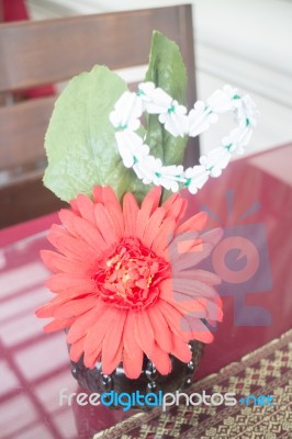 Red Gerbera Flower Decorated On Table Stock Photo