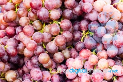 Red Grapes Stock Photo