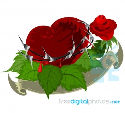 Red Heart Stock Image