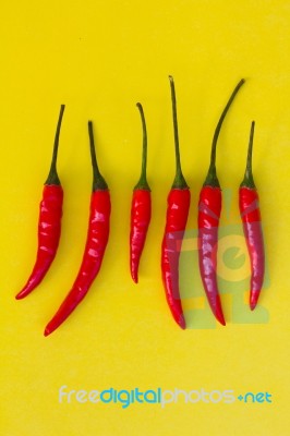 Red Hot Chili Pepper  Stock Photo