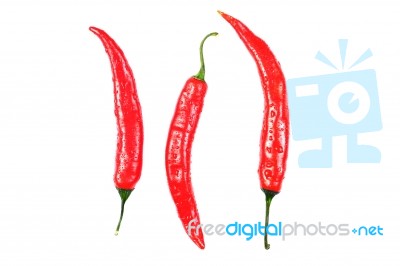 Red Hot Chili Peppers With Water Drops Isolated On White Stock Photo