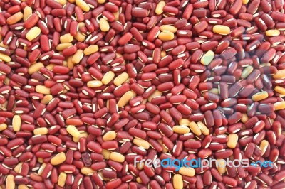 Red Kidney Bean Stock Photo