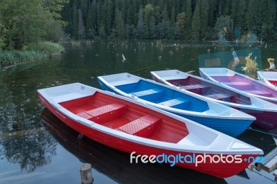 Red Lake, Eastern Carpathians/romania - September 19 : Rowing Bo… Stock Photo