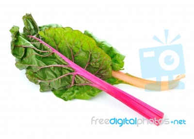 Red Lettuce Vegetable Isolated On White Background Stock Photo