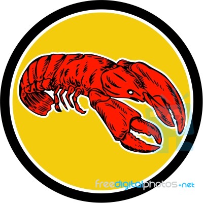 Red Lobster Circle Retro Stock Image