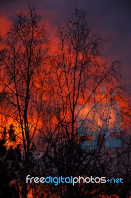 Red Morning Stock Photo