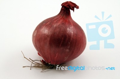 Red Onion Stock Photo