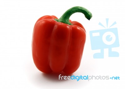 Red Pepper Stock Photo