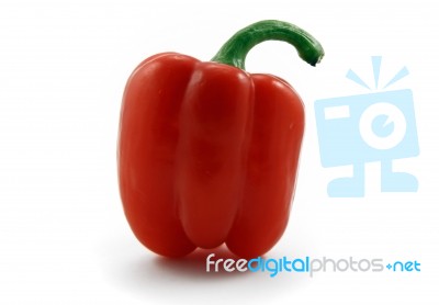 Red Pepper Stock Photo