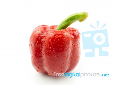 Red Pepper Stock Photo