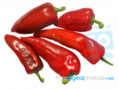 Red Pepper Stock Photo