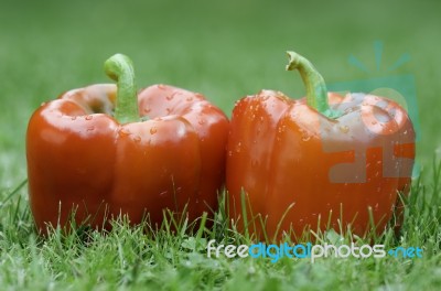 Red Peppers Stock Photo