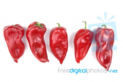 Red Peppers Stock Photo