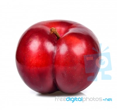 Red Plum Isolated On The White Background Stock Photo