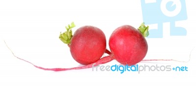 Red Radish Isolated On The White Background Stock Photo