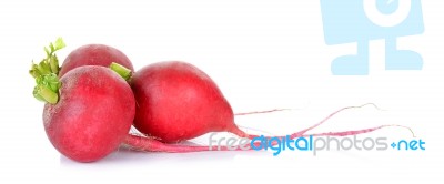 Red Radish Isolated On The White Background Stock Photo