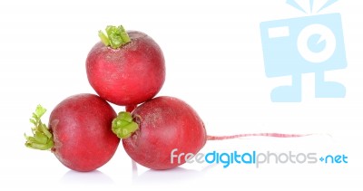 Red Radish Isolated On The White Background Stock Photo