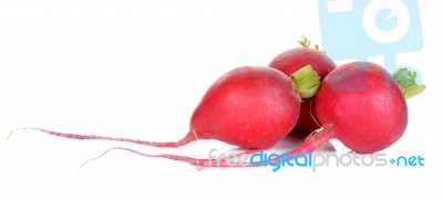 Red Radish Isolated On The White Background Stock Photo