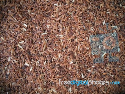 Red Rice Stock Photo