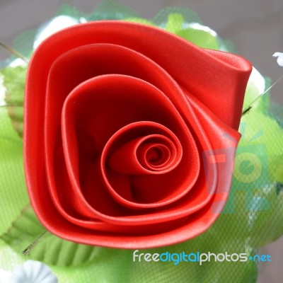 Red Rose And Petal On Top View Stock Photo