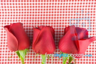 Red Rose  Image Of Valentines Day Stock Photo